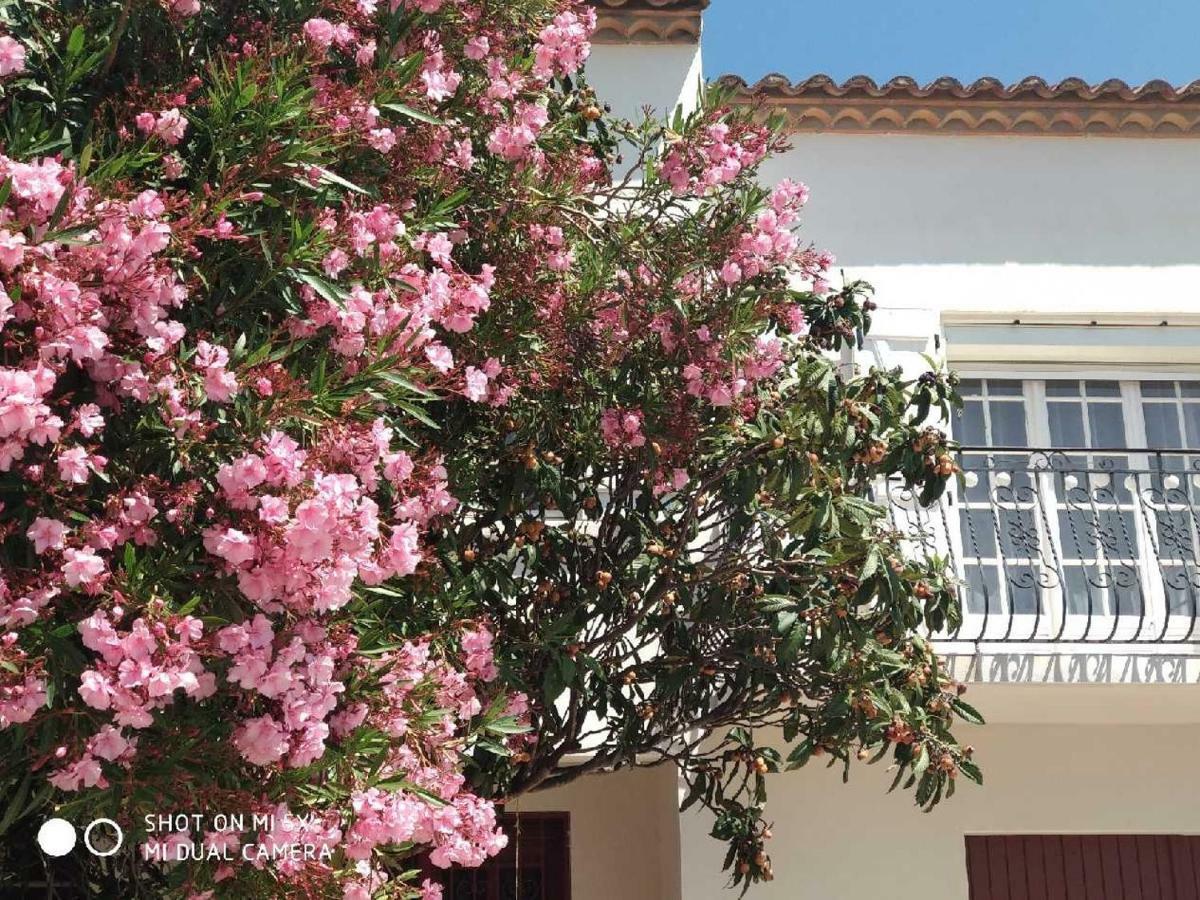 Les Lauriers Roses Appartement Narbonne Buitenkant foto